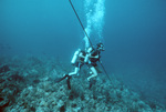 Diver Observes Marine Life By Distance Line in Saba Marine Park Outer Limits, Saba, Netherlands Antilles