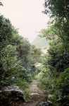 Narrow Walking Path in Windward Side, Town on Saba, Netherlands Antilles