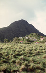 Buildings Nestled at Base of Mount Scenery in Windward Side, Saba, Netherlands Antilles