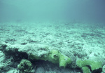 Disrupted Sediment after Hurricane Hugo near Buck Island, St. Croix, United States Virgin Islands