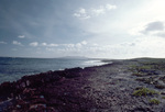 Waterfront View in Anguilla by John C. Ogden