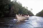 Boat of People Travels Up Mangrove-Lined Canal in Trinidad by John C. Ogden