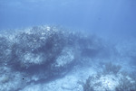 Cave Entrance, White Horse Reef, August 5, 1997