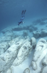 Diver at Giant Stromatolites, Lee Stocking Island, August 5, 1997, A