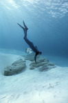 Diver at Giant Stromatolites, Lee Stocking Island, August 5, 1997, B