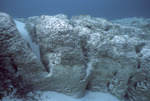 Giant Stromatolites, Lee Stocking Island, August 5, 1997, B