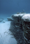 Giant Stromatolites, Lee Stocking Island, August 5, 1997, C