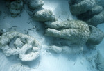 Giant Stromatolites, Lee Stocking Island, August 5, 1997, G