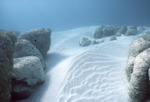 Giant Stromatolites, Lee Stocking Island, August 5, 1997, H