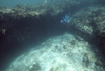 Diver Swims Into Cave, Sugar Cay, August 6, 1997, C