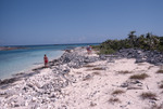 Researchers on Coastline, Iguana Cay, August 5, 1997