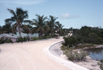 Golf Cart at the Caribbean Marine Research Center, Lee Stocking Island, August 5, 1997