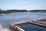 Ocean View at Caribbean Marine Research Center, Lee Stocking Island, August 5, 1997