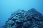 Western Sambos Deep Site, Florida Keys, July 14, 2003, C