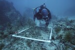 Western Sambos Deep Site, Florida Keys, July 14, 2003, J