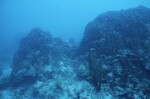 Western Sambos Deep Site, Florida Keys, July 14, 2003, T