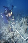 Robbie Smith at Pelican Shoal Shallow Site, 25 Feet, October 29, 1997, A by John C. Ogden