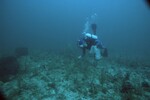 Diver at Carysfort South Deep Site, 50 feet, October 31, 1997