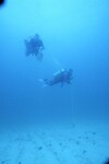 Two Divers at Maitland Reef Deep Site, 50 feet, October 31, 1997 by John C. Ogden