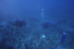 Robbie Smith and Dan Hellin at Pelican Shoal Shallow Site, 25 Feet, October 29, 1997 by John C. Ogden