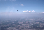 Aerial View of Agricultural Fields and Birds, Kendall, Florida