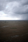 Rainstorm Approaching Over Open Landscape by John C. Ogden