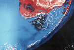 Landsat View of the Florida Keys by John C. Ogden