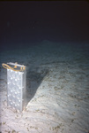 Diffusion Chamber on Seafloor, Near Buck Island, St. Croix, U.S. Virgin Islands