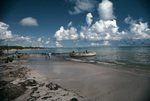 Oil Spill Cleanup Absorbent, St. Croix, U.S. Virgin Islands by John C. Ogden