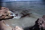 Hess Oil Spill in St. Croix, U.S. Virgin Islands, B by John C. Ogden