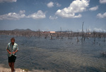 Mangrove Swamp Near Rum Distillery, U.S. Virgin Islands by John C. Ogden