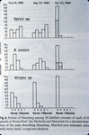 Bleaching of Agarilia at Pico Feo, 1983 by Lasker