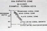 Zone of Coral Growth, Florida Keys, 1986 by Fr. Muller