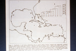 Coral Faunae 12, Carribbean Reefs, JAAP et al, 1989 by Unknown