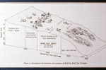 Bird Key Reef DT Structure, JAAP, et al, 1989 by Unknown