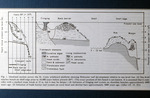 Holocene Reef Development, St. Croix, 1978 by Unknown