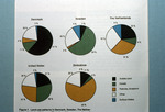 Land-use Patterns by Unknown