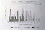 Nassau Grouper: Length-Frequency, 1985 by Unknown