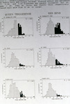 Queen Triggerfish and Red Hind Length-Frequency Graphs by Unknown