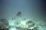 Scuba Diver Observes Artifical Reef, Reef Two, United States Virgin Islands by John C. Ogden