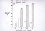 Bar Graph, John C. Ogden, Robblee Thesis, Grunt Fish Abundance in Seagrass Beds, circa 1979 by John C. Ogden