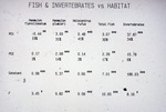 Chart, John C. Ogden, Robblee Thesis, Fish and Invertebrates vs Habitat, circa 1979 by John C. Ogden