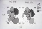 Diagram, John C. Ogden, Robblee Thesis, Fish Density, Fall 1978 and Summer 1979 by John C. Ogden