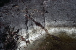 Fissure or Intrusion Rock Sample, Taken Northeast End, Sombrero Island, June 10 1979