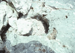 Egg Resting on Rock Formation, Sombrero Island, June 10, 1979