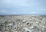 Field with Rock Formations, Sombrero Island, June 10, 1979