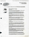 Natural History of Tobago and Bird List, David Rooks, Accessed April 17, 1998 by David Rooks