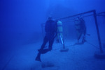 SCUBA diver with oxygen tanks, near Hydrolab, St. Croix [1]