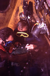 SCUBA divers putting tracking device on rainbow parrotfish [2] [Ogden Figure 5]