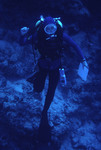 SCUBA diver swimming along a coral reef near St. Croix [8]